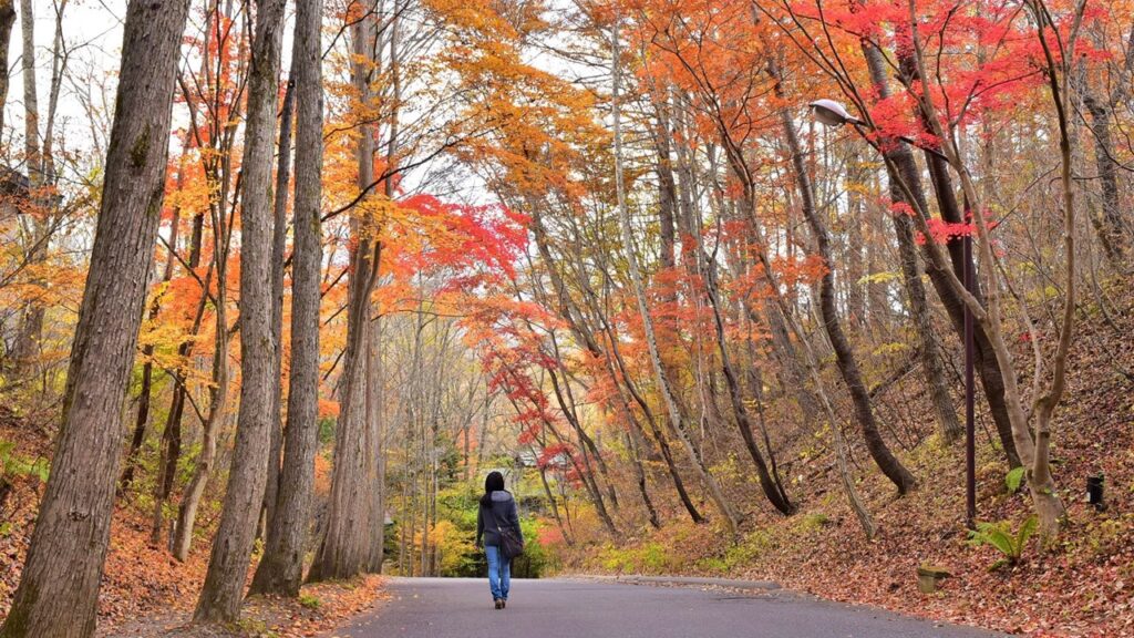 2021年11月初旬に訪れた軽井沢の旅行記・紅葉 | 旅は無限 – わたしStyle