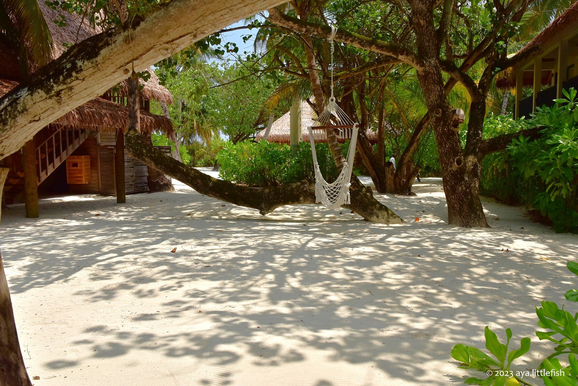 自然と一体化するナチュラルリゾート「コモ・ココア・アイランド」の魅力をご紹介 旅は無限 わたしStyle