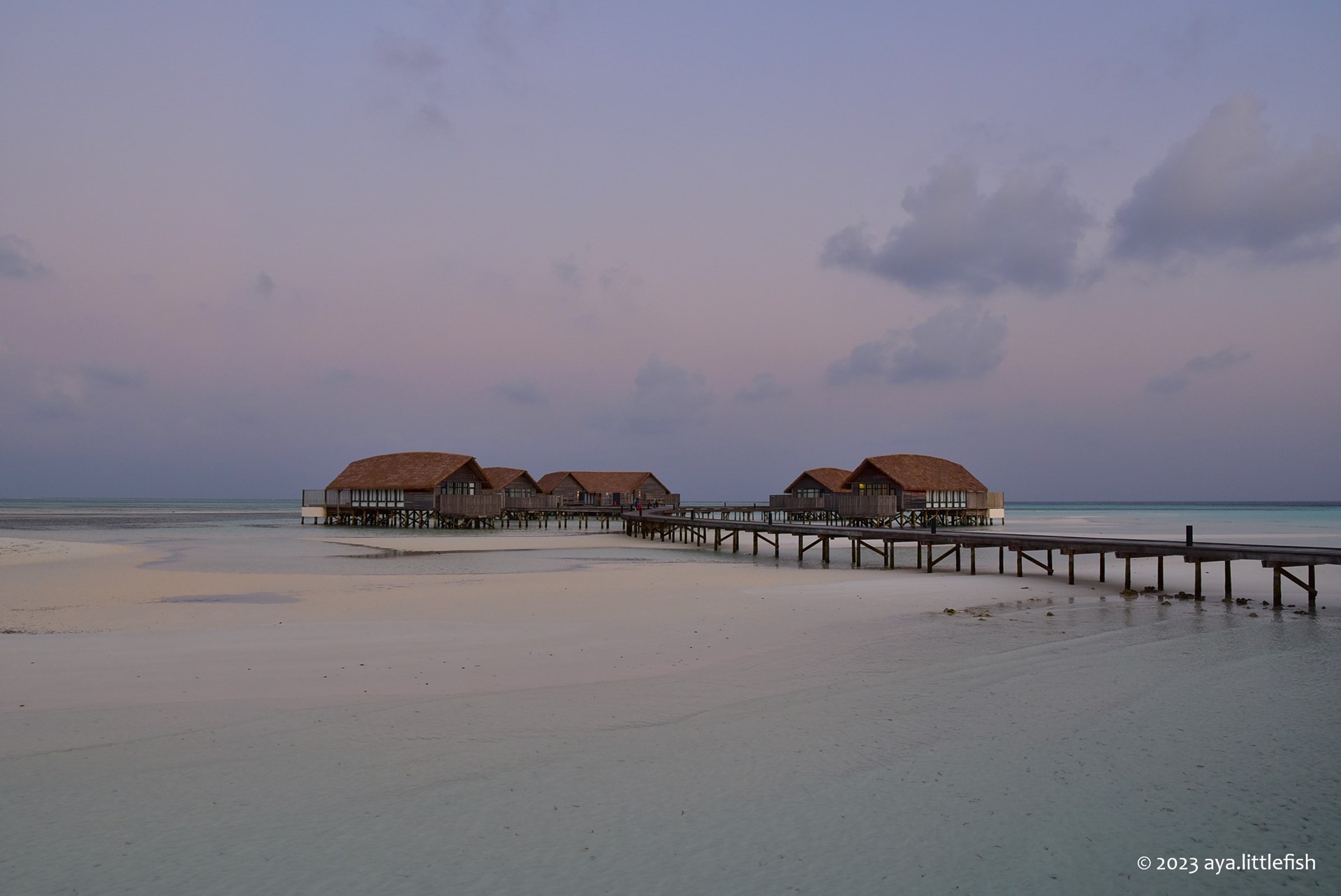 自然と一体化するナチュラルリゾート「コモ・ココア・アイランド」の魅力をご紹介 旅は無限 わたしStyle