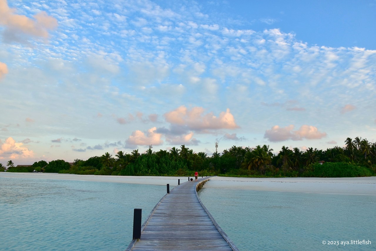 2023年3月に訪れたコモ・ココア・アイランドのモルディブ旅行記 旅は無限 わたしStyle